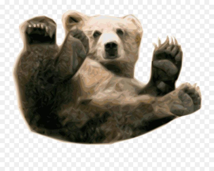 Bear Face Transparent U0026 Png Clipart Free Download - Ywd Real Baby Bear Png Emoji,Bear And Hot Emoji
