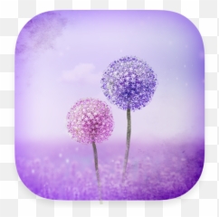 Purple Dandelion - Hydrangea Emoji,Dandelion Emoji
