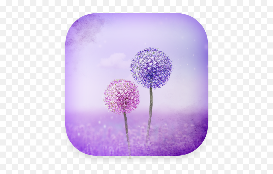 Purple Dandelion - Hydrangea Emoji,Dandelion Emoji