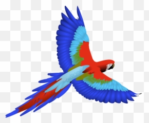 Daily Photos Wallpapers - Macaw Clipart Emoji,Atheist Emoji