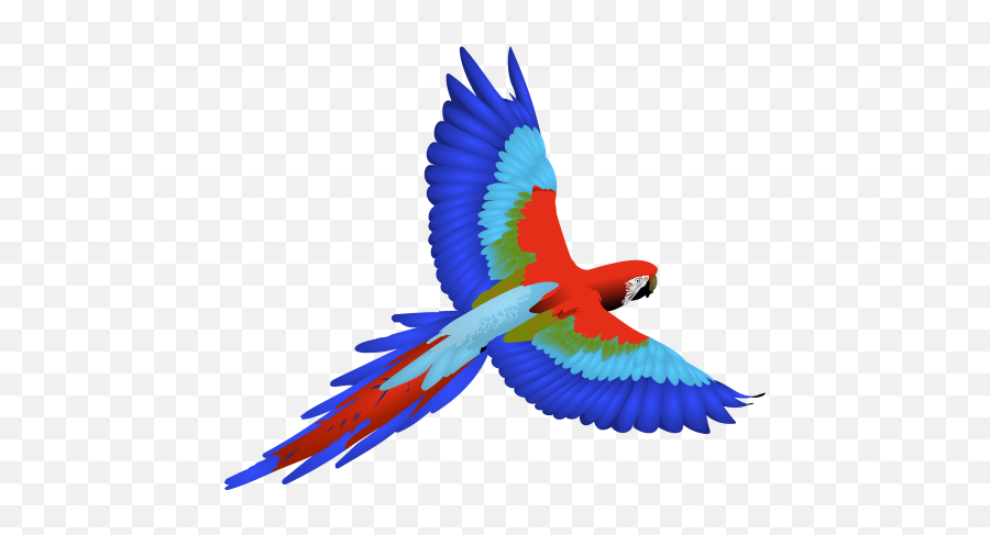 Daily Photos Wallpapers - Macaw Clipart Emoji,Atheist Emoji