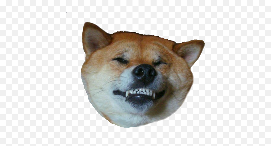 Dogecoin Transparent Png Archive Needs Your Help - Dog Smiling Transparent Emoji,Doge Emoji