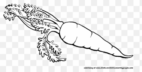 White Color Carrot Clipart Explore - Fruits And Vegetables Clipart Black And White Emoji,Carrot Emoji