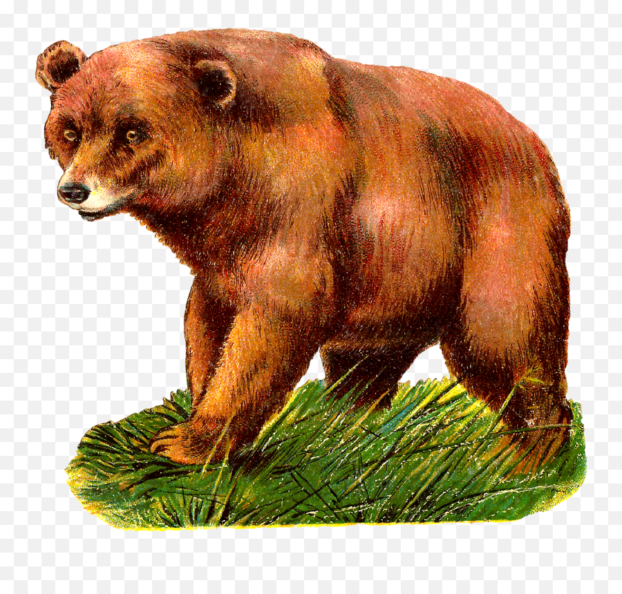 Grizzly Bear Clipart Png - Clipart Alaskan Brown Bear Emoji,Grizzly Bear Emoji