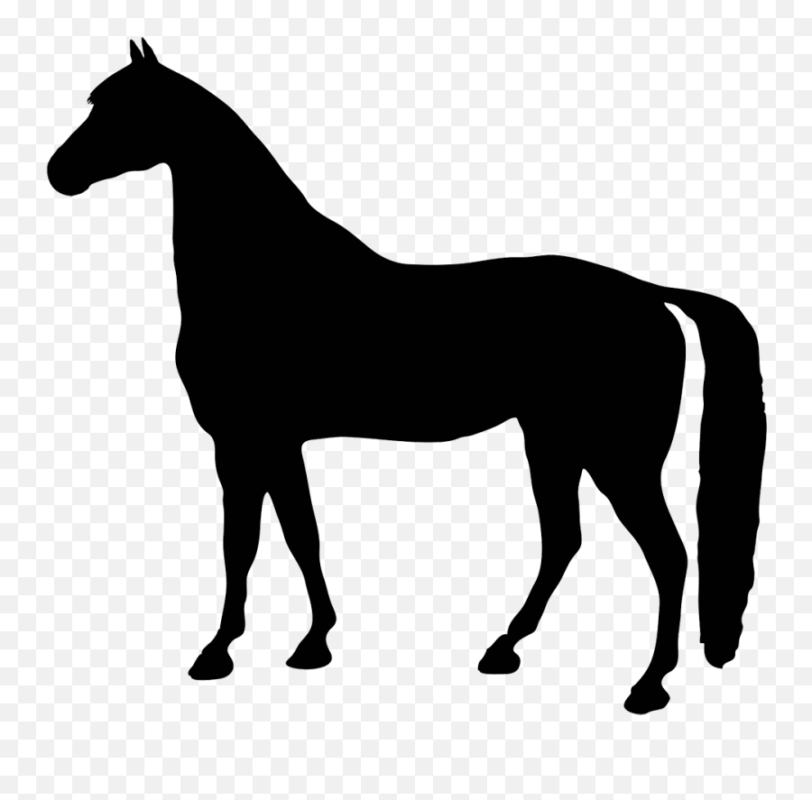 Therapy Clipart Horse Therapy Horse - Transparent Background Horse Silhouette Transparent Emoji,Kentucky Derby Emoji