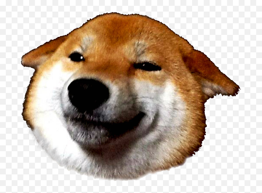 Doge Meme Transparent Png Clipart Free Download - Shiba Inu Meme Transparent Emoji,Doge Emoji