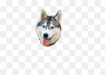 Husky - Mackenzie River Husky Emoji,Husky Emoji