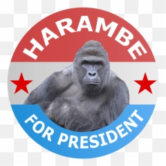 Gaben Arms Crossed - Harambe Png Emoji,Harambe Emoji