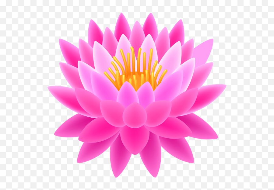 Lotus Flower Graphic Png Lotus Flower Graphic Png - Transparent Lotus Image Png Emoji,Lily Flower Emoji