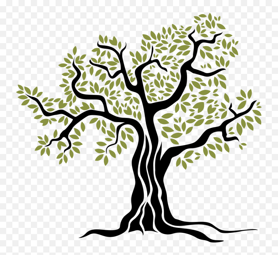 Olive Tree - Arbol De Olivo Dibujo Emoji,Olive Branch Emoji