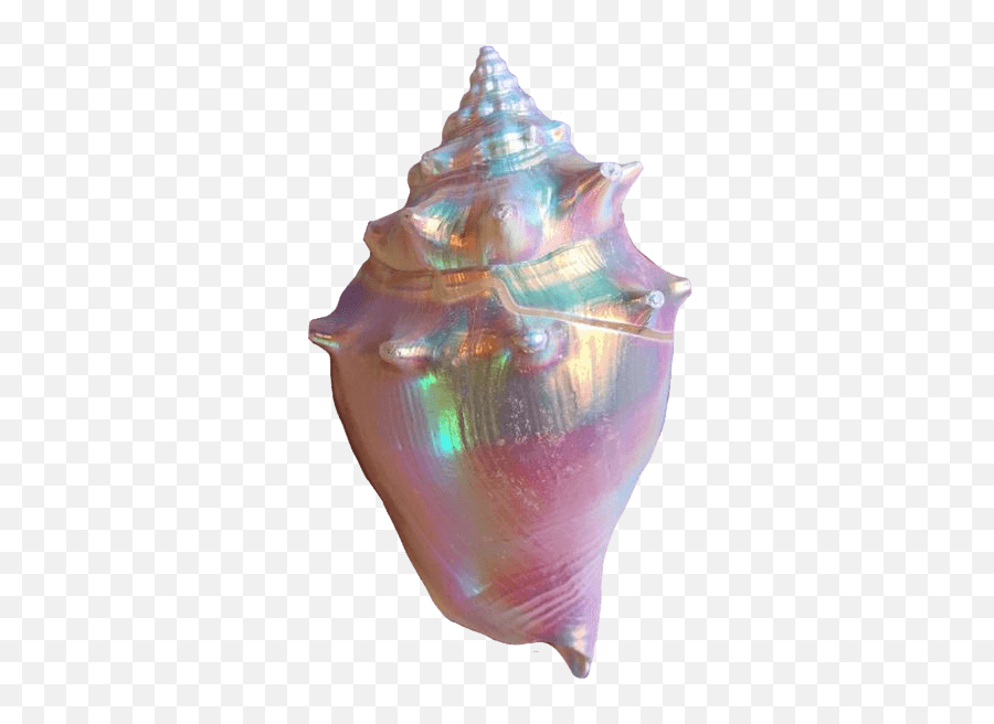 Aesthetic Conch Seashell Sea Shell - Iridescent Sea Shells Emoji,Conch Shell Emoji