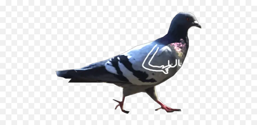 Dove With Hands Stickers For Whatsapp - Pigeons With Hands Emoji,Dove Emoji