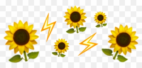 Emoji Crown Iphone Yellow Flower Aesthetic - Aesthetic Yellow Flower Crown Png,Yellow Flower Emoji