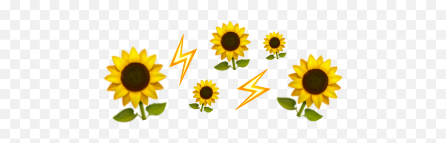 Emoji Crown Iphone Yellow Flower Aesthetic - Aesthetic Yellow Flower Crown Png,Yellow Flower Emoji