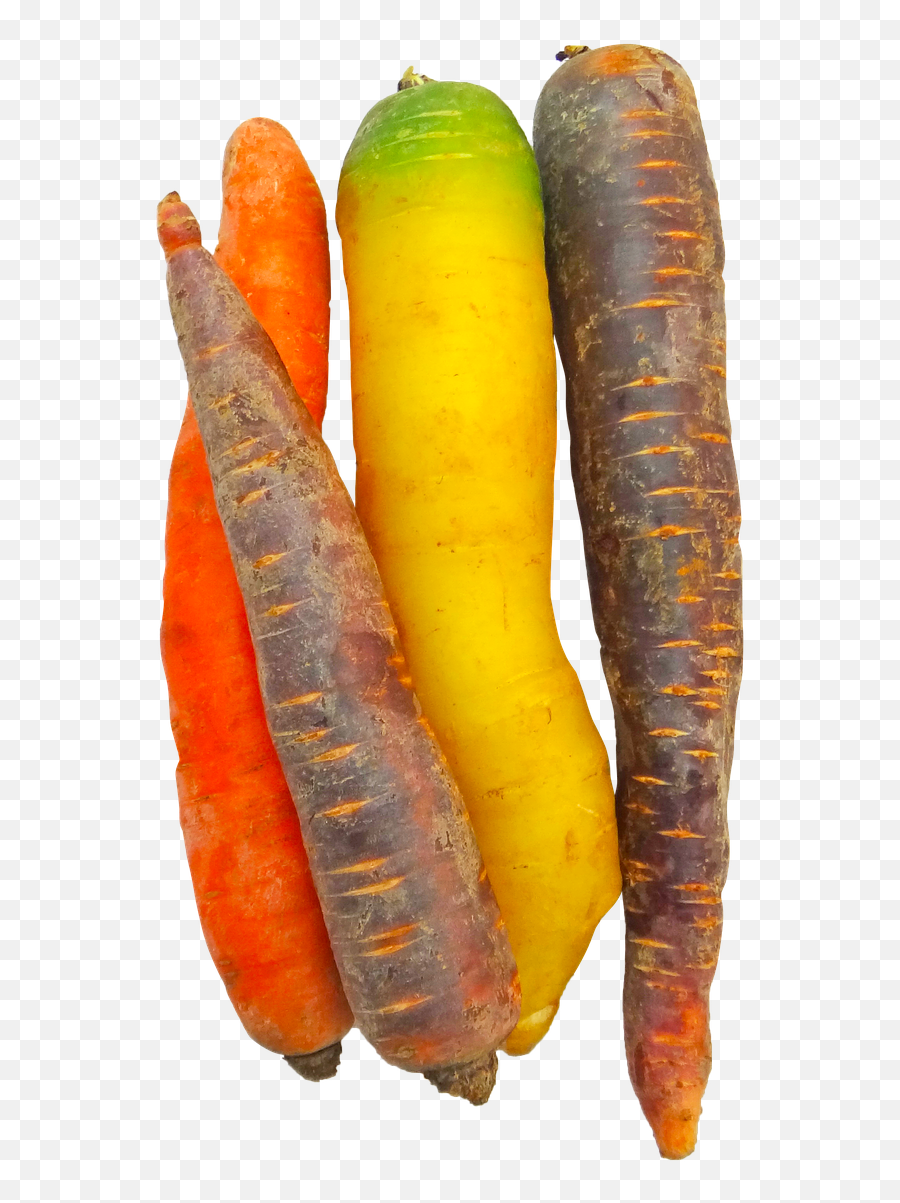 Carrots Rainbow Food Vegetable Colorful - Baby Carrot Emoji,Rice Bowl Emoji