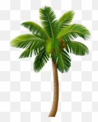 Palm Tree Sunset Clipart Png - Clipart Palm Tree Png Emoji,Palm Tree Emoticons