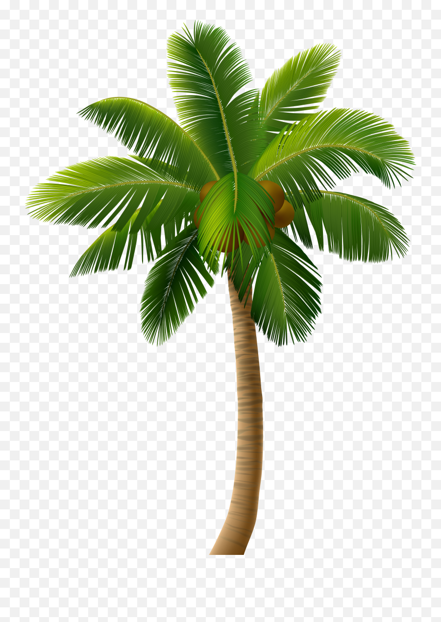 Palm Tree Sunset Clipart Png - Clipart Palm Tree Png Emoji,Palm Tree Emoticons