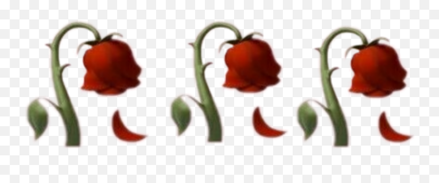 Flower Emoji Emojideiphone Iphoneemojis Flores Flor - Cartoon,Emoji Salad