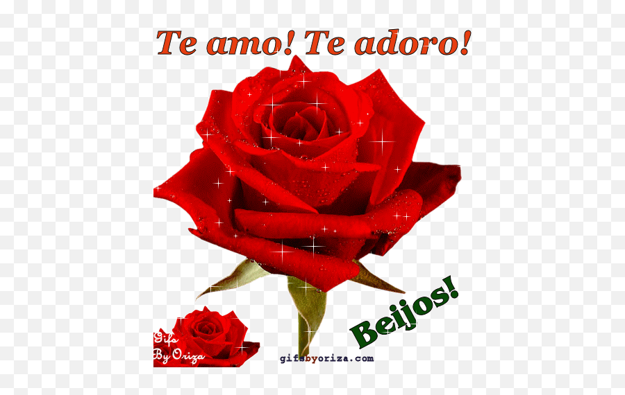 Oriza Net Portal Te Amo Adoro Seasons - Love You Flowers Gif Emoji,Te Amo Emoji