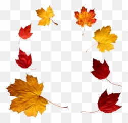Fall Transparent Png Clipart Free Download - Overlay Leaves Emoji