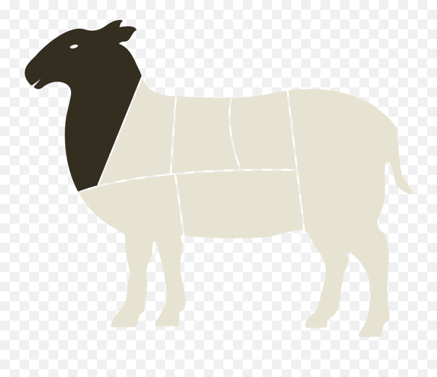 Sheep Horse Cattle Mammal Camel - Lamb Face Silhouette Png Horse Emoji,Black Sheep Emoji