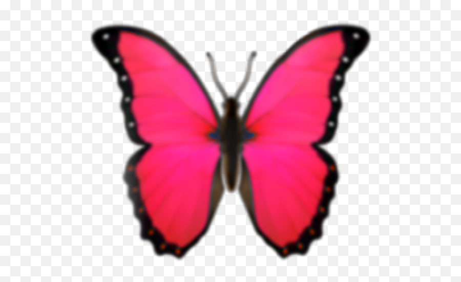 Emoji Butterfly Emojibutterfly Sticker - Butterfly Emoji Png,Butterfly Emoji Apple