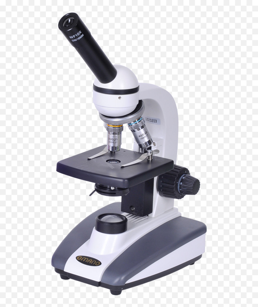Download Free Png Light Microscope Flashcards On Tinycards - Microscope Images Hd Png Emoji,Microscope Emoji