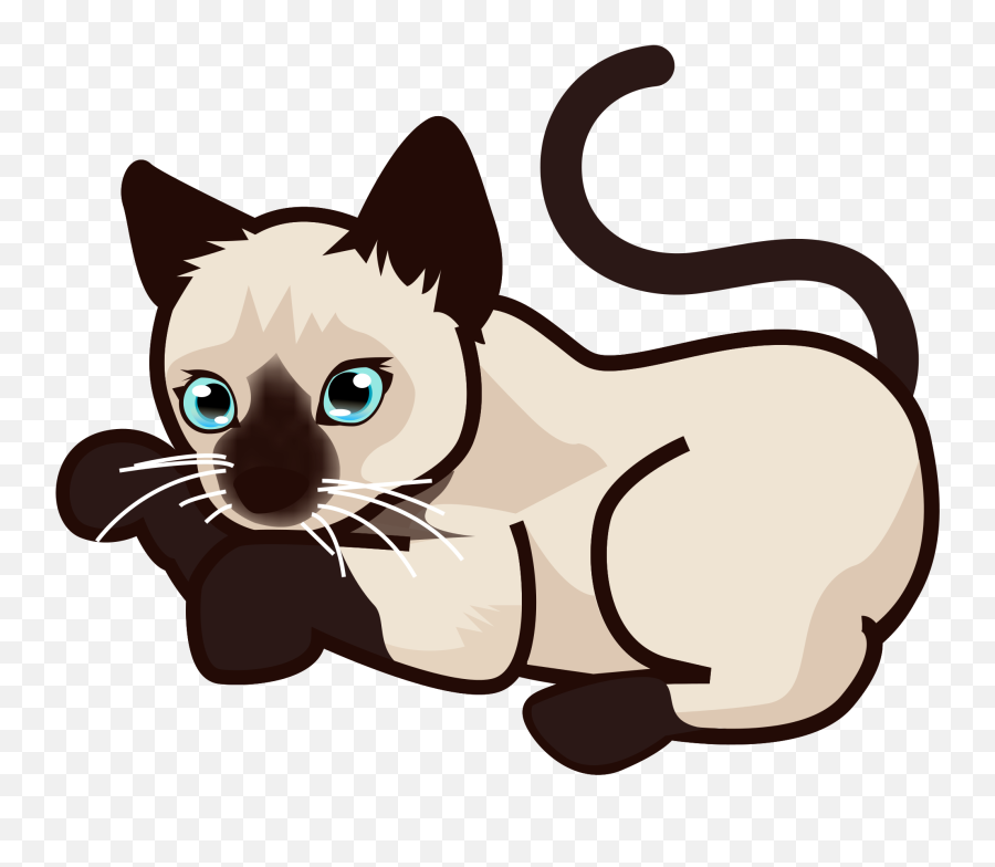 Peo - Siamese Cat Clipart Png Emoji,Cat Emoji