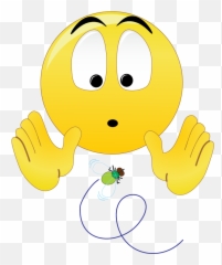 Free Png Emoticons - Smiley Emoji,Hand Emoticons