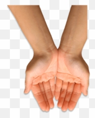 Hand Palm Up Transparent Png Clipart - Thumb Emoji