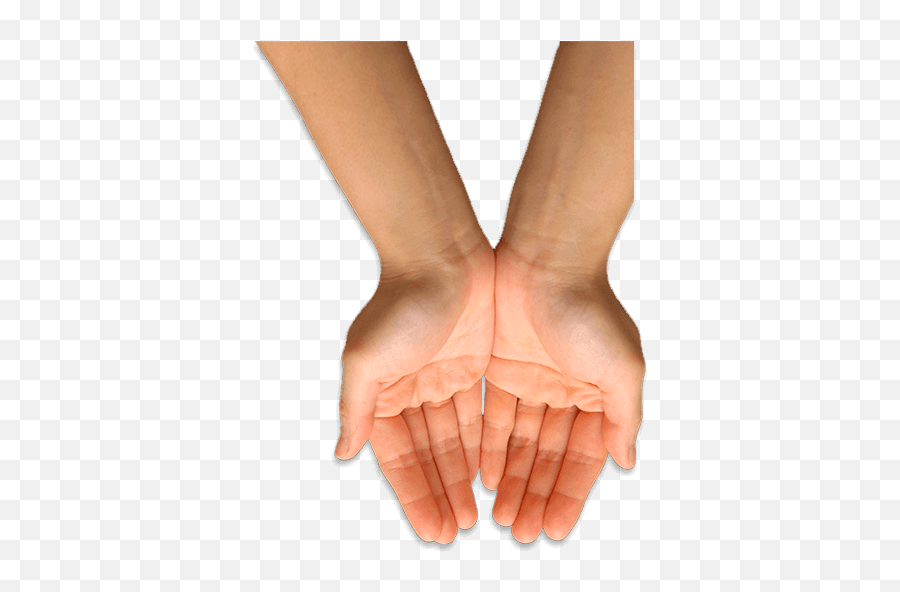 Hand Palm Up Transparent Png Clipart - Thumb Emoji,Palms Up Emoji