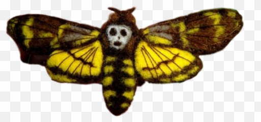 Moth Moths Skull Sticker - Hawk Moths Emoji,Moth Emoji
