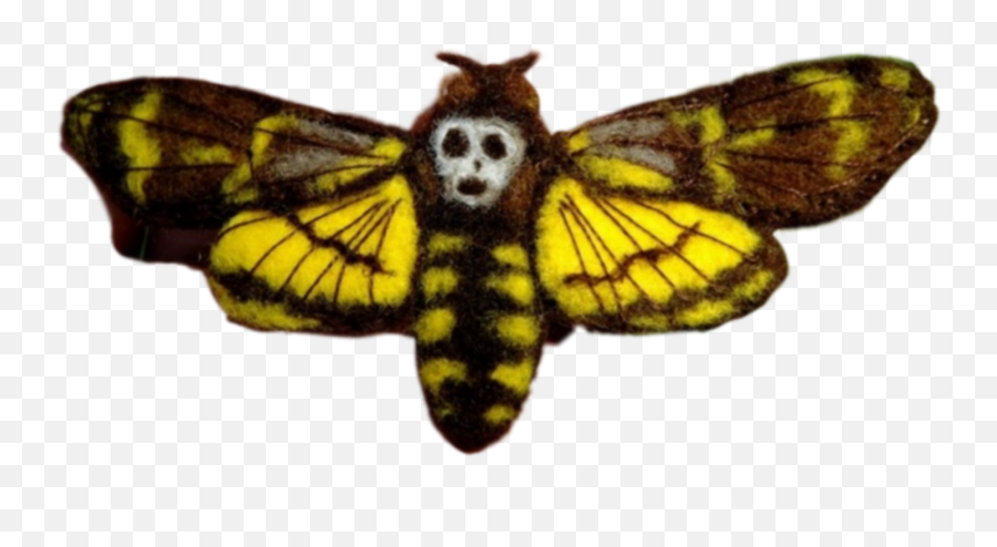 Moth Moths Skull Sticker - Hawk Moths Emoji,Moth Emoji