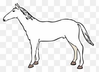 Horse Tail Side White Tame - Imagenes De Un Caballo De Lado Emoji,Man And Horse Emoji