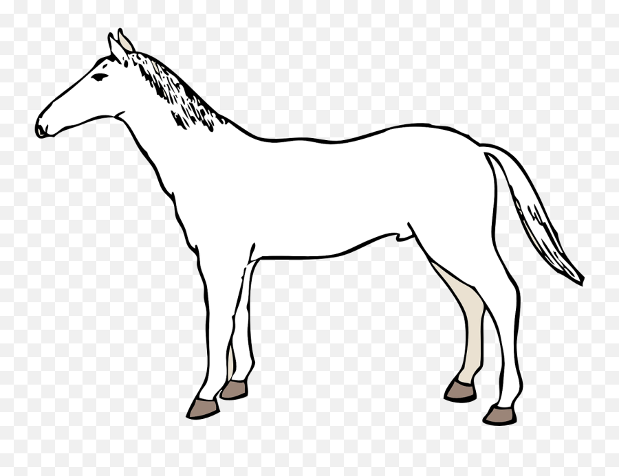 Horse Tail Side White Tame - Imagenes De Un Caballo De Lado Emoji,Man And Horse Emoji