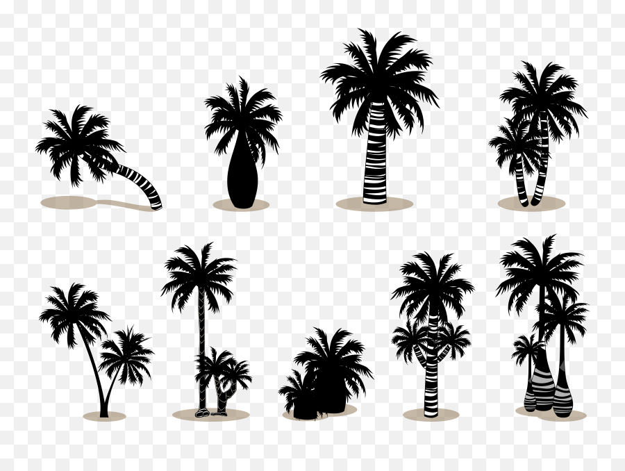 Arecaceae Silhouette Scalable Vector Graphics - Coconut Palm Emoji,Palm Tree Emoji Transparent
