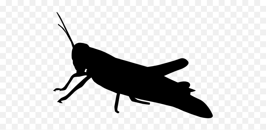 Grasshopper Sticker - Silhouette Grasshopper Clipart Emoji,Grasshopper Emoji