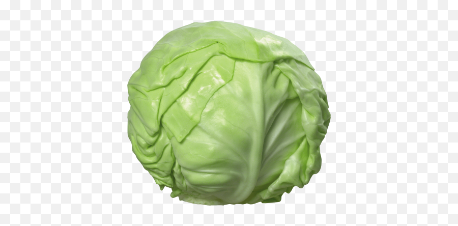 Cabbage Png And Vectors For Free - Cabbage Png Emoji,Cabbage Emoji