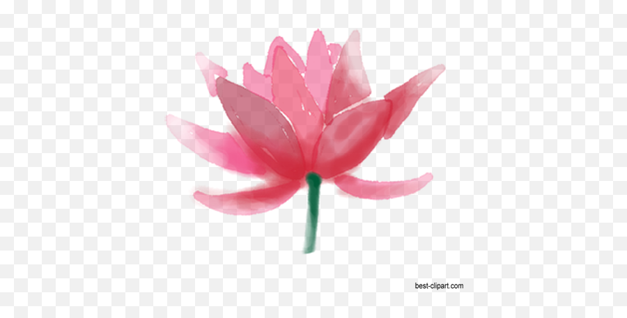 Free Watercolor Flowers Branches And - Sacred Lotus Emoji,Lotus Flower Emoji