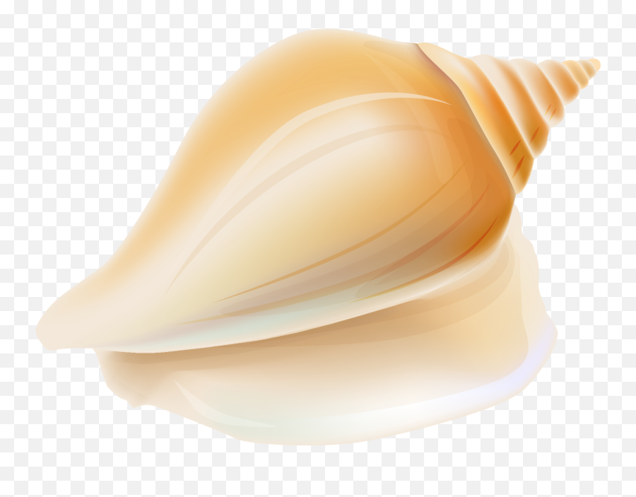 Transparent Seashell Clipart - Seashell Emoji,Conch Shell Emoji