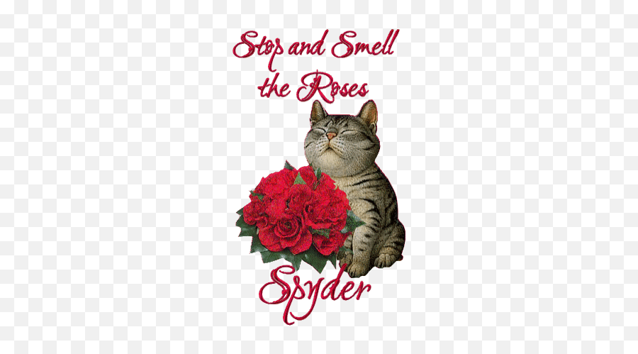 Top Smelling Stickers For Android U0026 Ios Gfycat - Good Afternoon Rose Emoji,Smelly Emoji