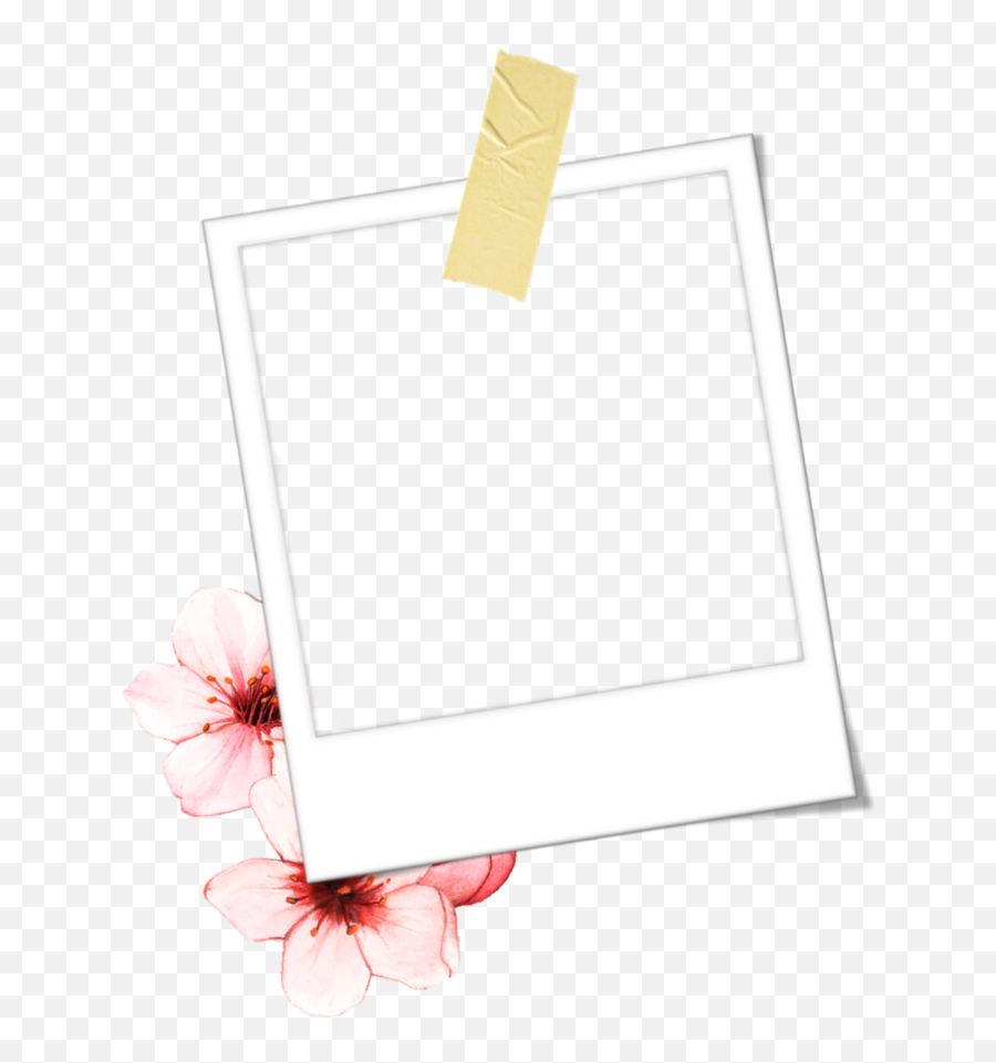 Flower Polaroid Scotch Cadre - Photography Emoji,Scotch Emoji