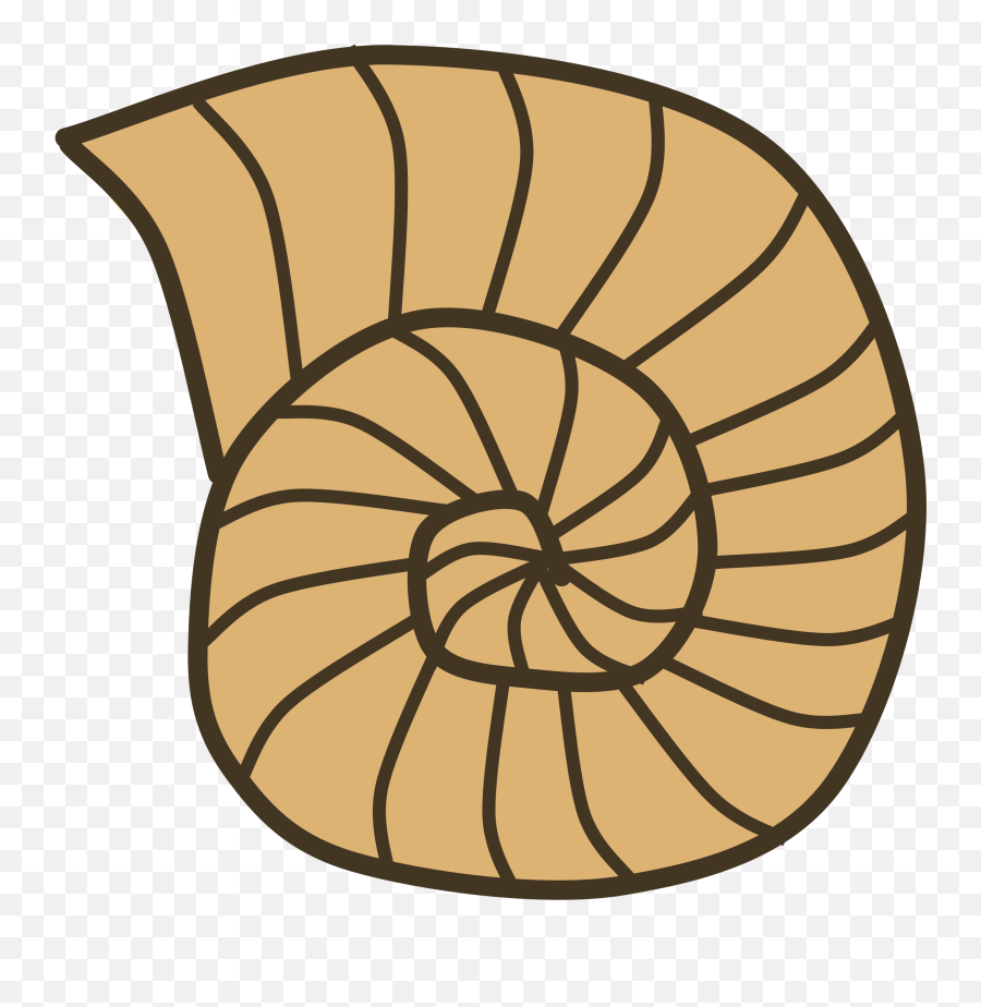 Shell Clipart Shell Spiral Shell Shell Spiral Transparent - Fossils Clipart Emoji,Shell Emoji