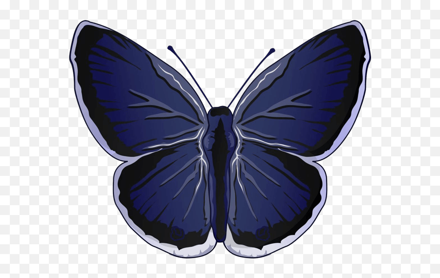 Beautiful Butterfly Sticker Pack - Blue Emoji,Butterfly Emoji Ios