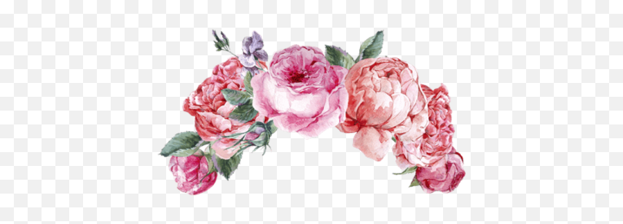 Aesthetic Flower Flor Picsart Most Popular Flowers - Transparent Snapchat Dog Filter Emoji,Black And White Flower Emoji