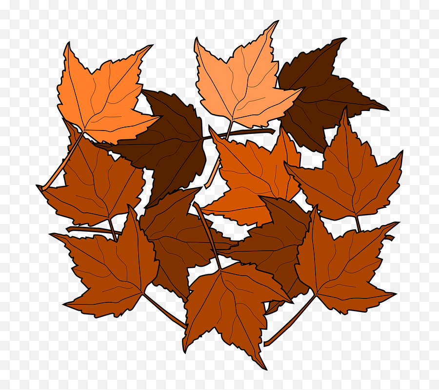 Free Greenery Leaves Vectors - Clip Art Brown Leaves Emoji,Cactus Emoji