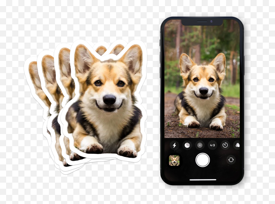 Cute Sunglasses Emoji Sticker - Iphone,Corgi Emoji