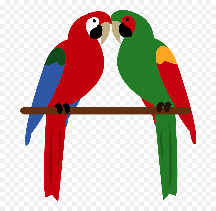Green - Winged Military Macaw Clipart Green And Red Parrots Clipart Emoji,Military Emoji For Iphone