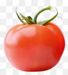 Png Transparent Tomato Png Clipart Free - Tomate Transparent Emoji,Find The Emoji Tomato