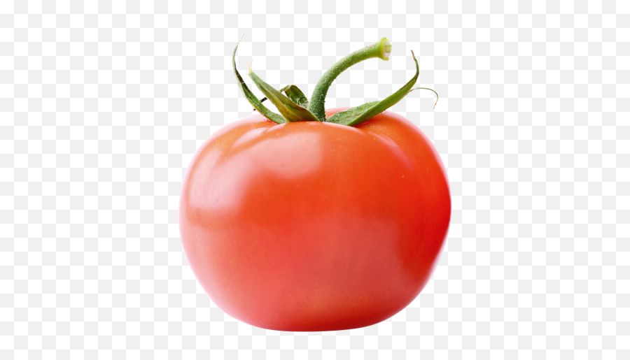 Png Transparent Tomato Png Clipart Free - Tomate Transparent Emoji,Find The Emoji Tomato